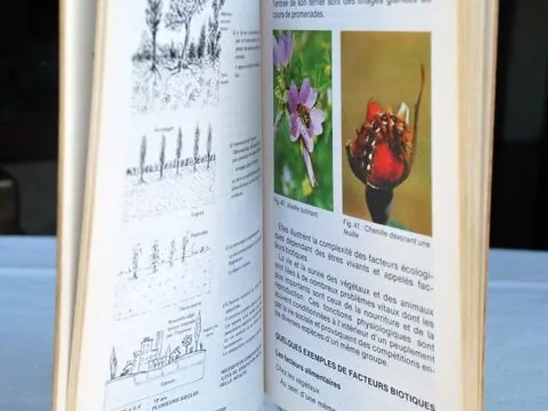 Je fais mon education ecologique 