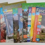 Revistas Fascination da Administração Postal das N 3