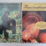 Revistas Fascination da Administração Postal das N 4