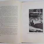 Livro da confraternização antigos funcionários CTT 8