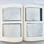 Nótulas Florbelianas – Florbela na intimidade 5