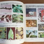 Livros de Biologia, Física, Ecologia e Matemática 4