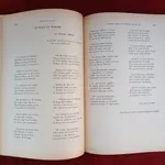 O Senhor Jesus da Piedade de Elvas  6