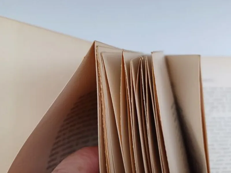 Exilados Régios no Estoril 