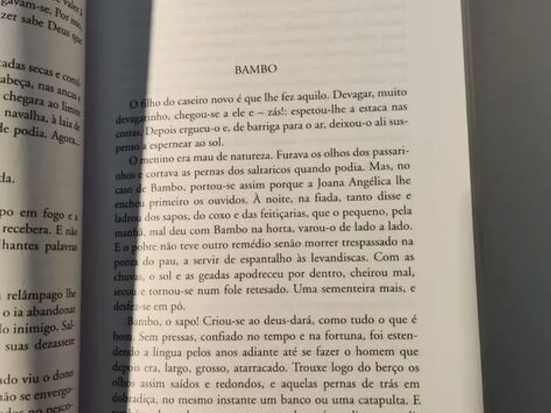 Contos - Miguel Torga