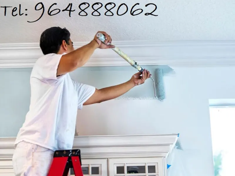 Pintor profissional, todo o tipo de pinturas.