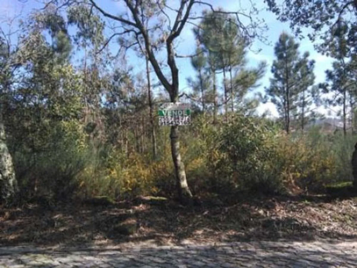 Venda Terreno Rústico 