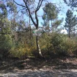 Venda Terreno Rústico  1