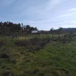 Venda Terreno Rústico  2