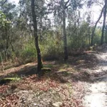 Venda Terreno Rústico  3