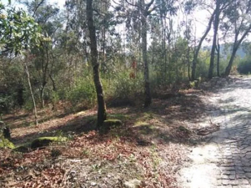 Venda Terreno Rústico 