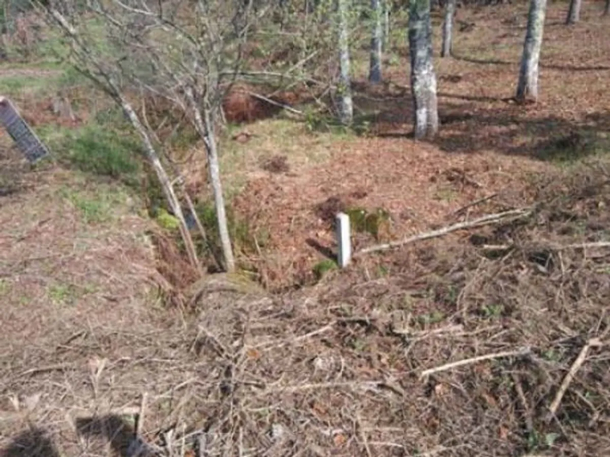 Venda Terreno Rústico 