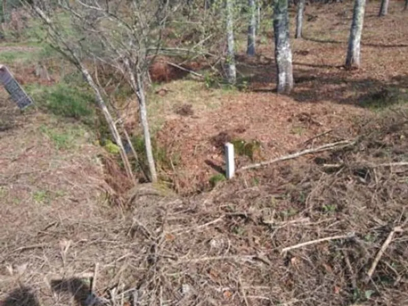 Venda Terreno Rústico 