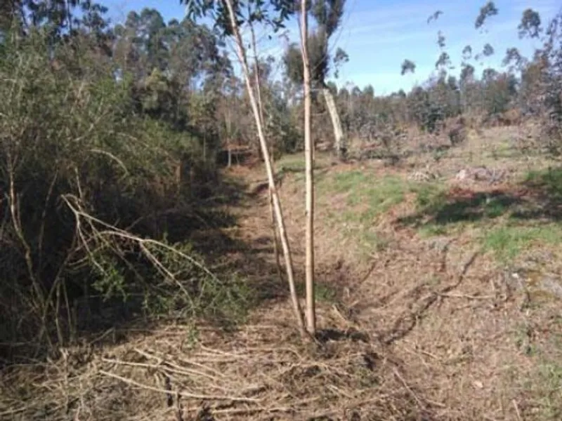Venda Terreno Rústico 