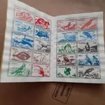 cardeneta conpleta 2