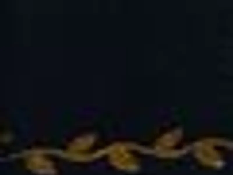 Um Dia na Vida de Ivan Denisovich