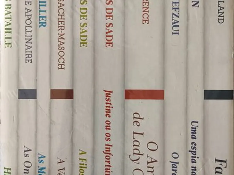 10 Livros Literatura Erótica (na caixa, selados)