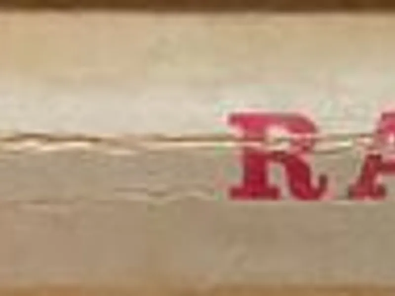 Raízes (vol I e II) - Alex Haley