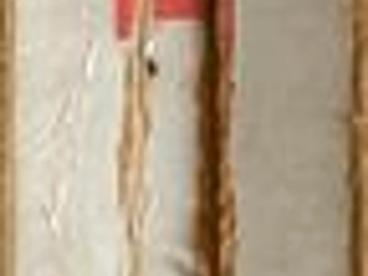 Raízes (vol I e II) - Alex Haley