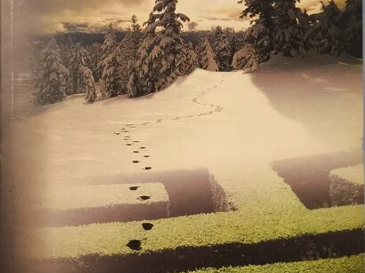 Biblioteca Sábado - 11 Livros