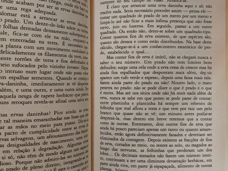 Palomar - Italo Calvino