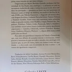 Nova Antologia do Conto Russo 2