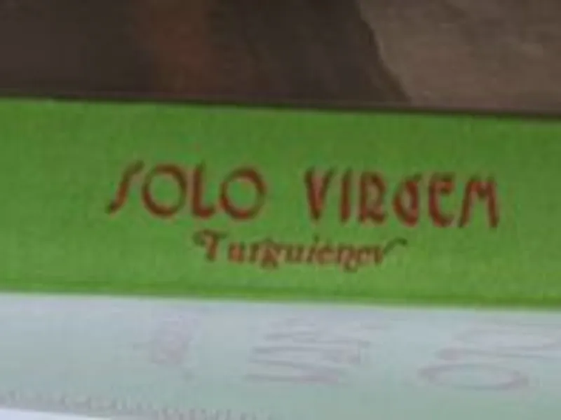 Solo Virgem - Turguiénev