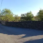 Casas para venda em sequeiros Moncorvo  8