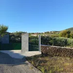 Casas para venda em sequeiros Moncorvo  10