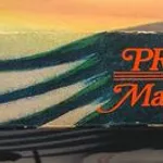 Presságio de Fogo - Marion Zimmer Bradley 4