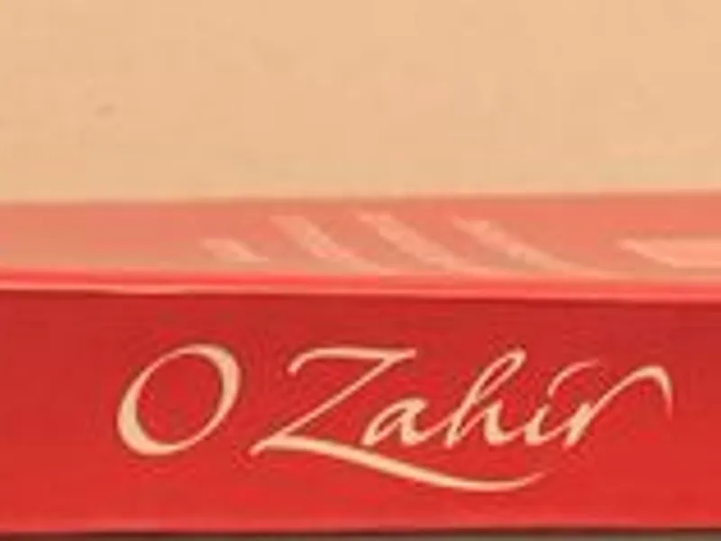O Zahir, Onze Minutos - Paulo Coelho