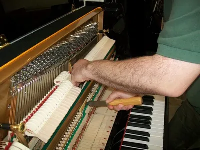 Técnico afinador de pianos. Lisboa