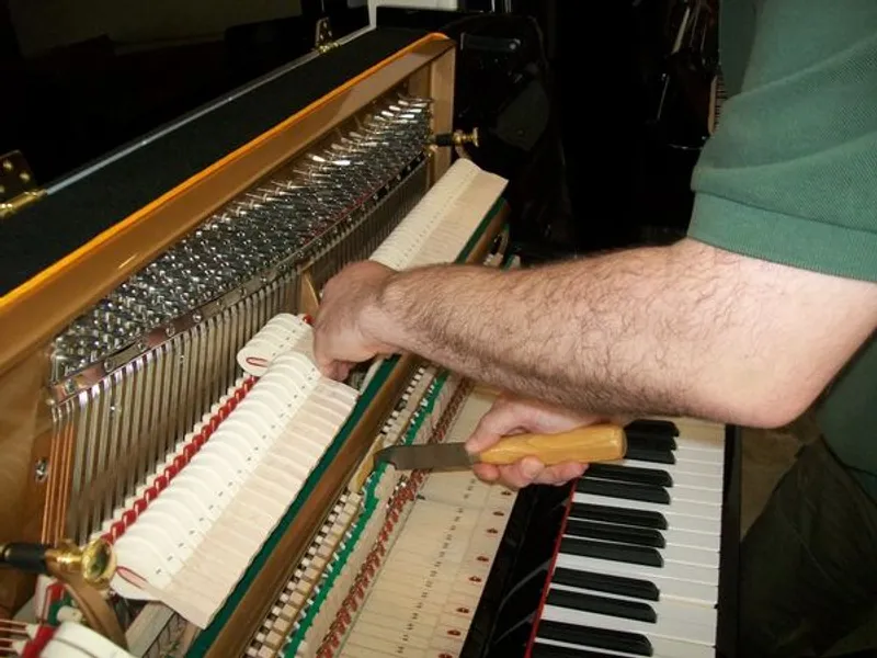 Técnico afinador de pianos. Lisboa