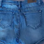 Calções Ganga Bordado Floral e Rasgões – T36 9