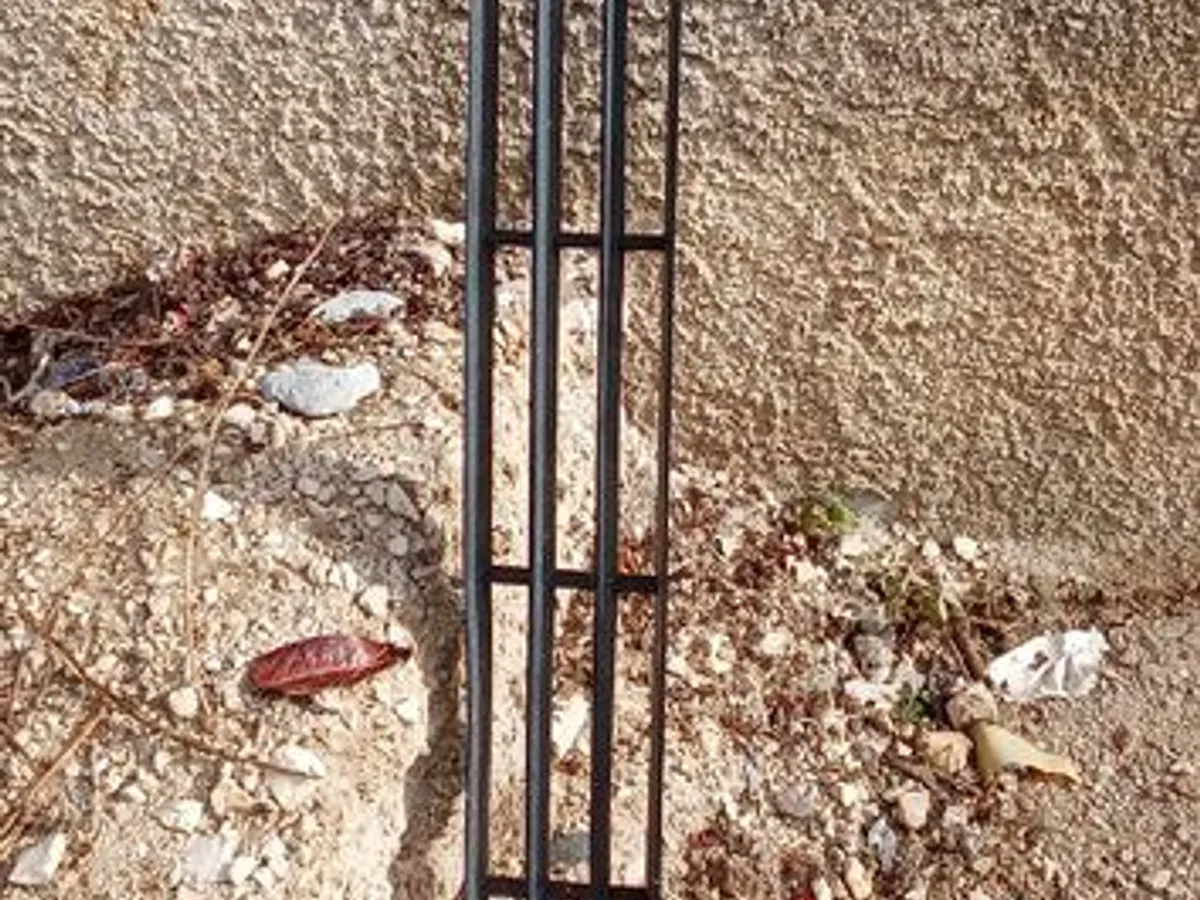 grelha inferior do para choques Renault Scenic 