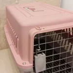 Box transporte de animais Rosa 2