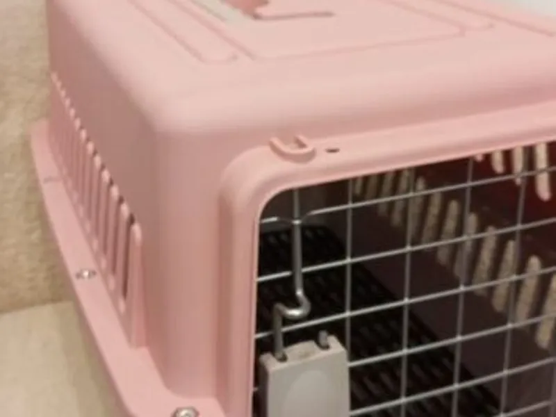 Box transporte de animais Rosa