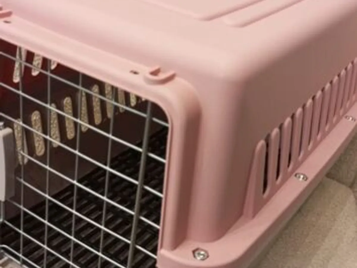 Box transporte de animais Rosa