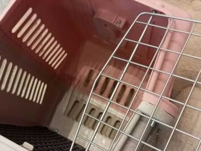 Box transporte de animais Rosa