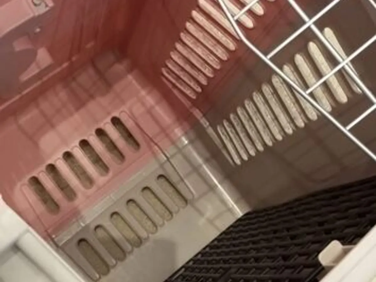 Box transporte de animais Rosa