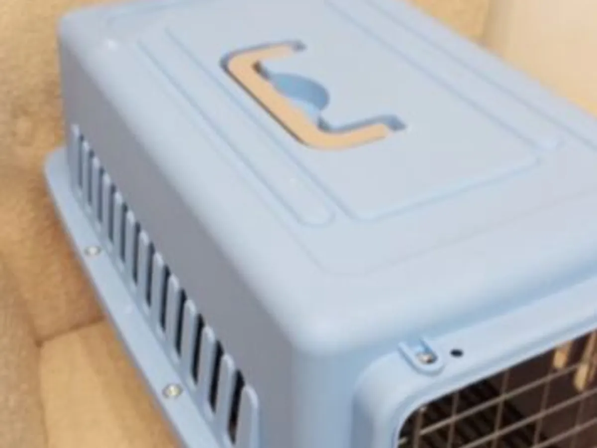 Box transporte de animais Azul