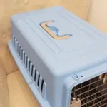 Box transporte de animais Azul 2