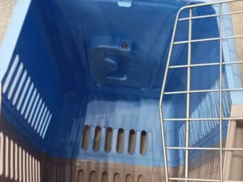 Box transporte de animais Azul