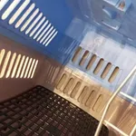 Box transporte de animais Azul 4