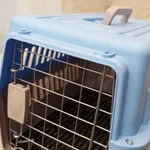 Box transporte de animais Azul 7