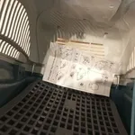 Box transporte de animais Verde 3