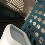 Box transporte de animais Verde 4