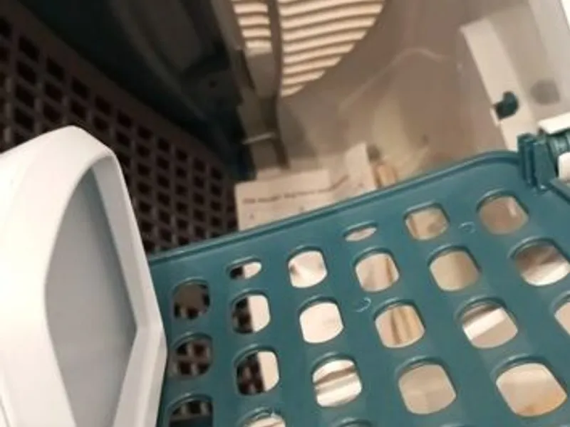 Box transporte de animais Verde