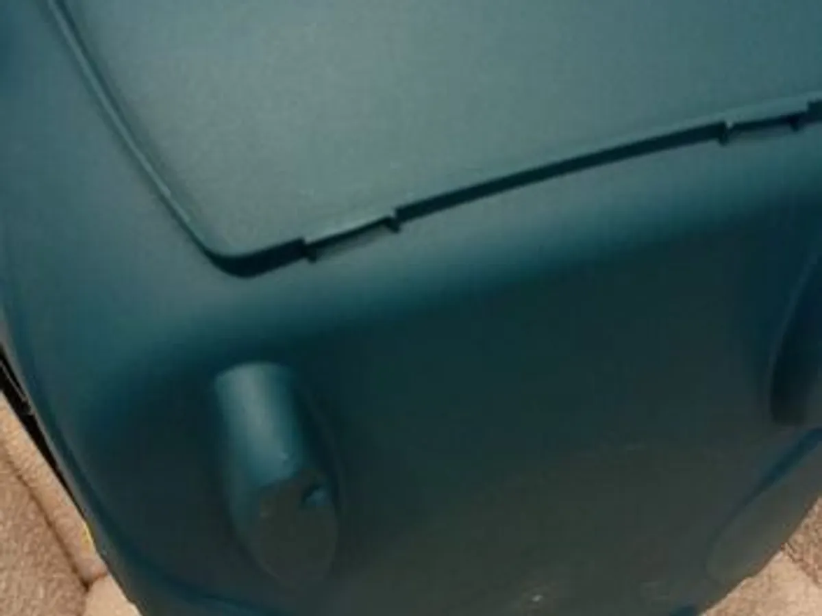 Box transporte de animais Verde