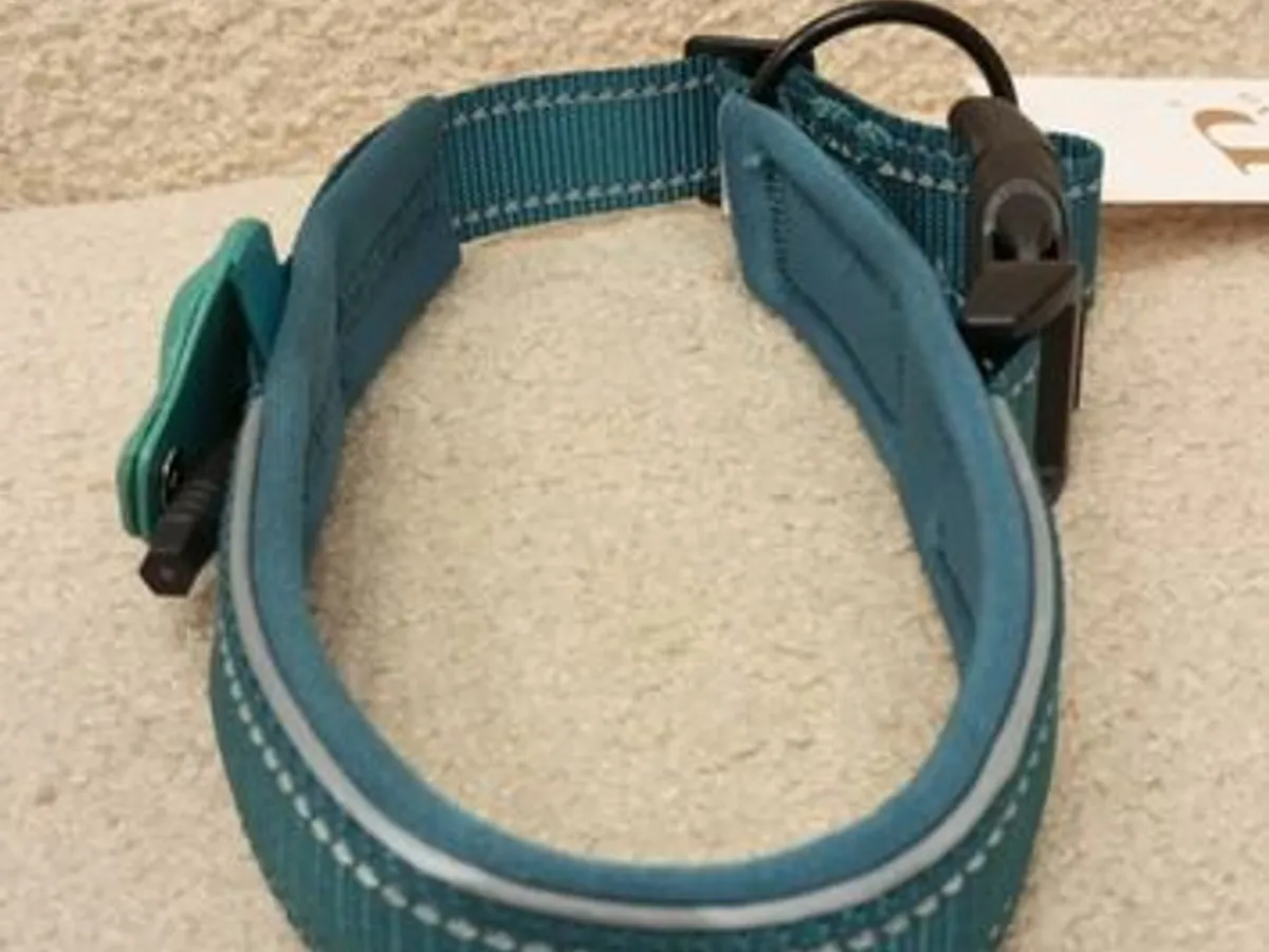 Coleira Verde c/local para localizador - Nova